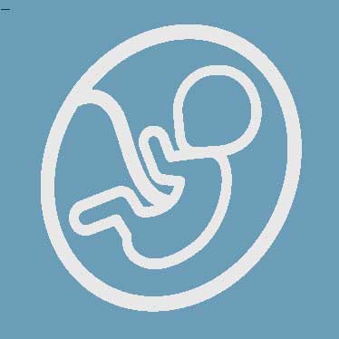 C-SECTION-BIRTHS AMC Research