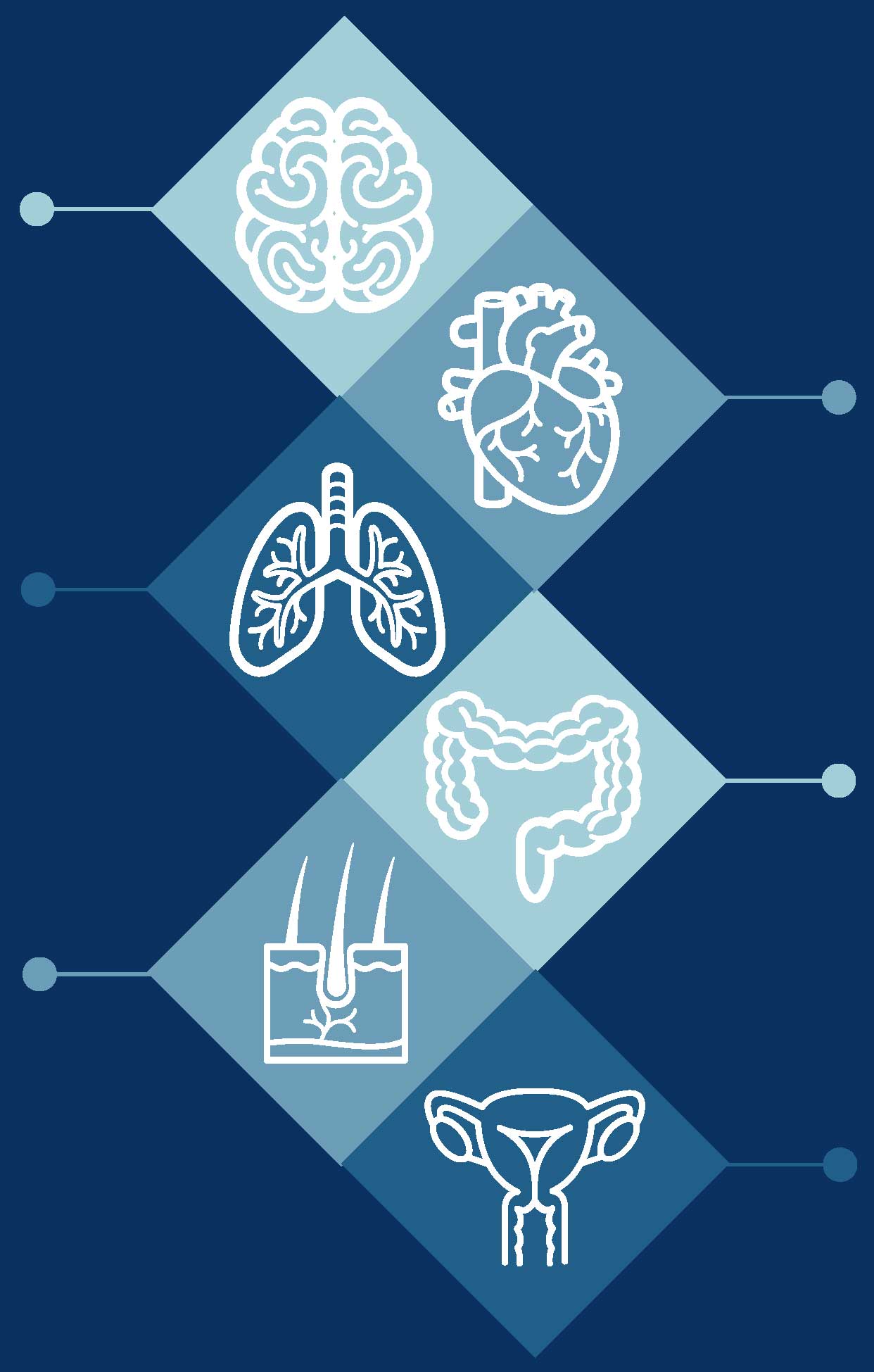 INVOLVEMENT IN OTHER SYSTEMS AMC Research