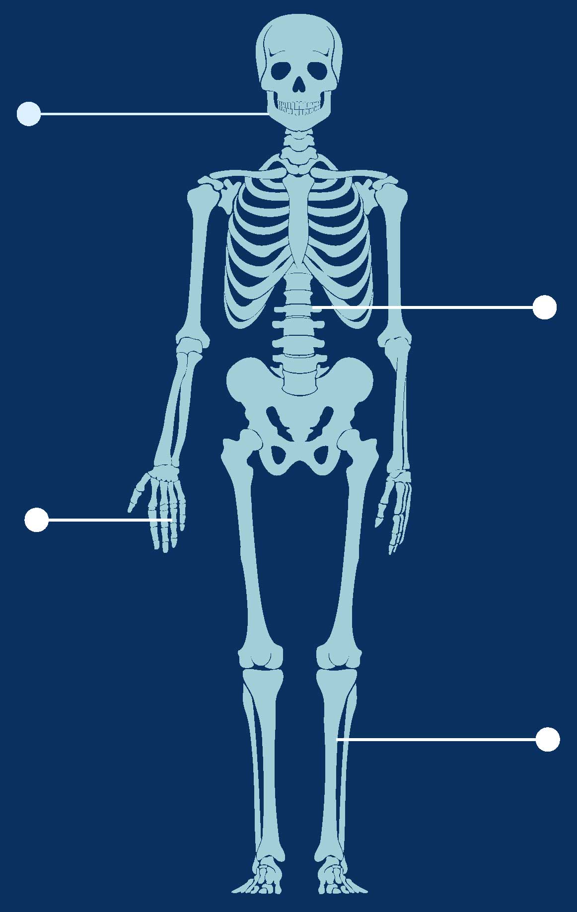 MUSCULOSKELETAL INVOLVEMENT AMC Research